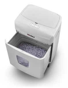 DESTRUCTORA DAHLE... 2