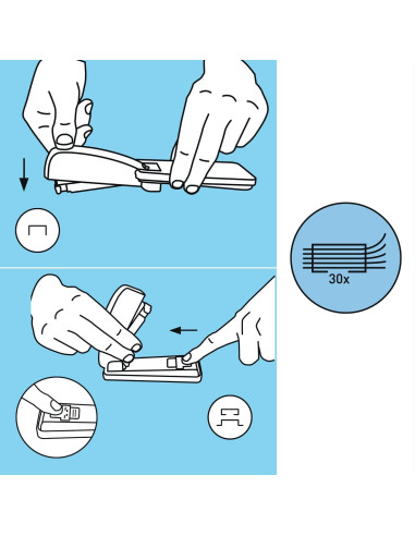 GRAPADORA PETRUS 226 TURQUESA WOW