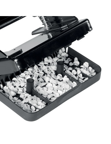 TALADRADORA PETRUS 52 VIOLETA WOW