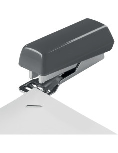 GRAPADORA PETRuS BAMBINA 202 2