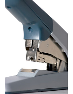 GRAPADORA PETRUS GRUESOS... 2