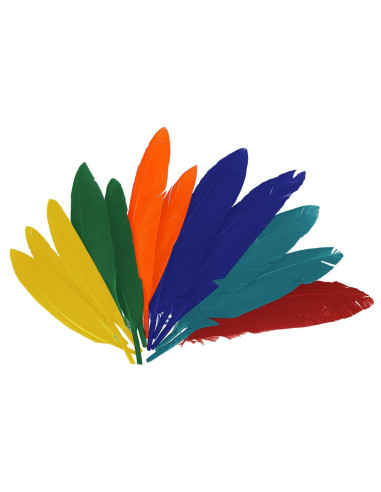 PLUMAS INDIO MIX COLORES 60 ud