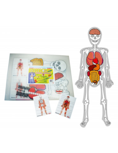 HOMBRE ESQUELETO HENBEA