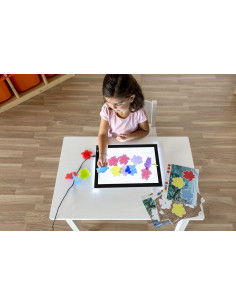 TORTUGAS TRANSLÚCIDAS MINILAND 2