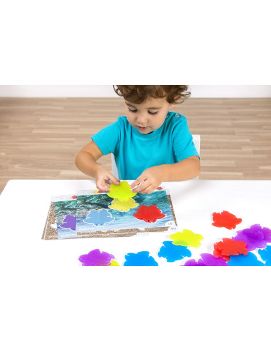 TORTUGAS TRANSLÚCIDAS MINILAND