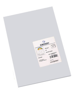 CARTULINA CANSON A4 GRIS... 2
