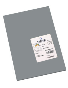 CARTULINA CANSON A4 GRIS... 2