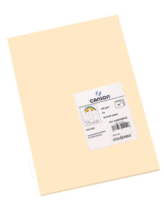 CARTULINA CANSON A4 CARNE... 2