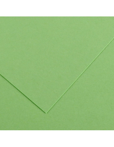 CARTULINA CANSON 23x32 VERDE MANZANA...
