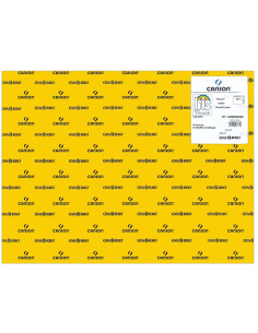 CARTULINA CANSON 50x65... 2