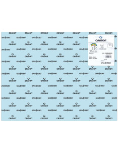 CARTULINA CANSON 50x65 AZUL... 2