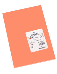 CARTULINA CANSON A4 CORAL... 2