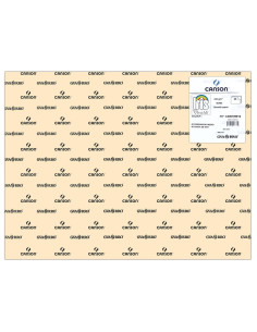 CARTULINA CANSON 50x65... 2