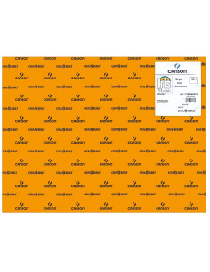 CARTULINA CANSON 50x65... 2