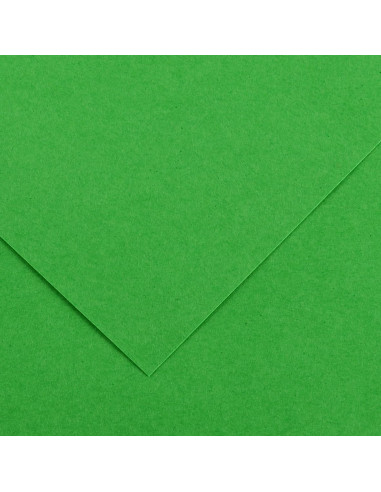 CARTULINA CANSON 50x65 VERDE BILLAR...