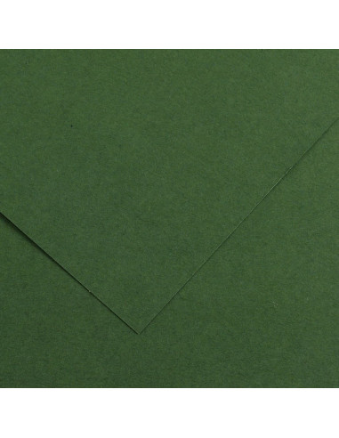 CARTULINA CANSON 50x65 VERDE AMAZONA...