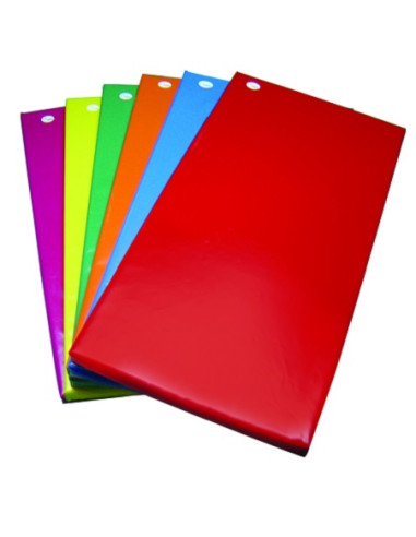 COLCHONETA GIMNASIA 200 x 150 x 10 cm.