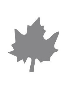 TROQUELADORA GOMA EVA HOJA... 2