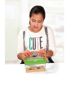 CASITA INSECTOS MINILAND 2