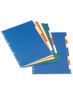 SEPARADOR PLÁSTICO ESSELTE... 2