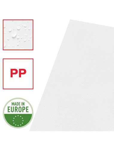 DOSSIER UÑERO ESSELTE FOLIO 100 uds.