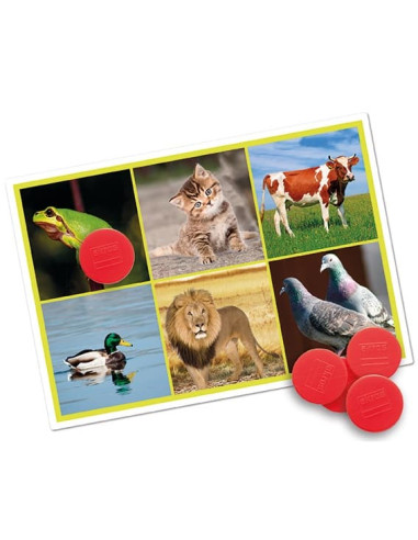 BINGO: LOS ANIMALES Y LA NATURALEZA...