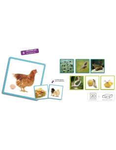 MAXI-SECUENCIAS NATURALES... 2