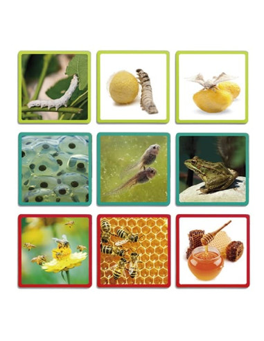 MAXI-SECUENCIAS NATURALES AKROS