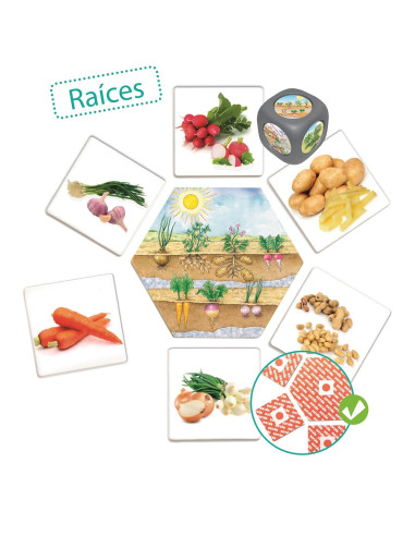 ¿DE DÓNDE VIENE LOS ALIMENTOS? AKROS