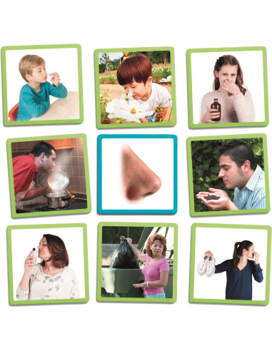 LOS 5 SENTIDOS AKROS