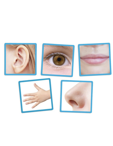 LOS 5 SENTIDOS AKROS