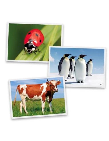 FOTOGRAFÍA ANIMALES AKROS