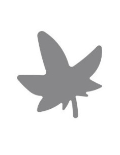 TROQUELADORA GOMA EVA HOJA... 2