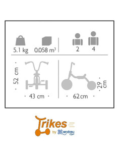 TRICICLO 2-4 AÑOS ANDREU TOYS 2