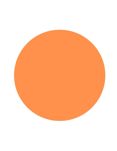 GOMETS CIRCULO GRANDE Ø 21 mm NARANJA