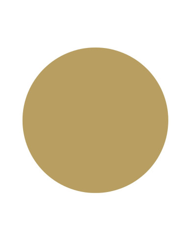 GOMETS CIRCULO MEDIANO Ø 15 mm ORO