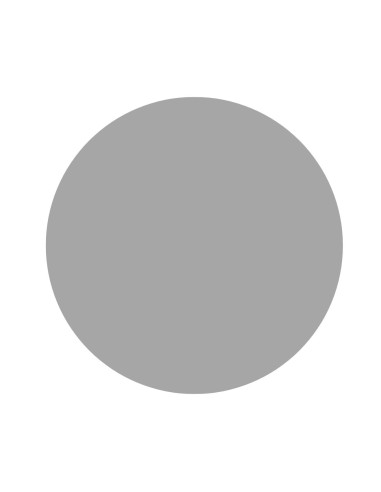 GOMETS CIRCULO MEDIANO Ø 15 mm PLATA