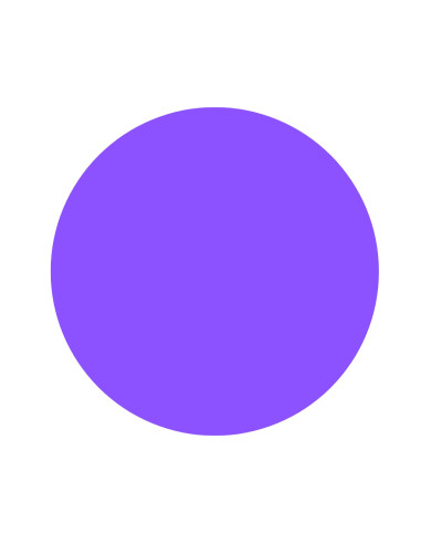 GOMETS CIRCULO GRANDE Ø 21 mm VIOLETA