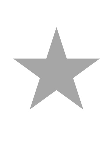 GOMETS BIG STAR METALIZADO PLATA