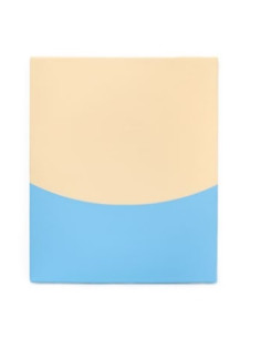 PROTECTOR PARED ONDULACIÓN...