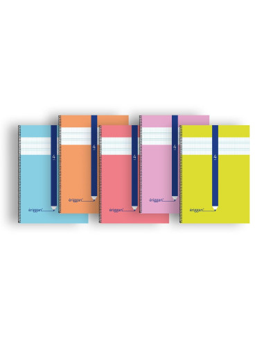 CUADERNO ERIGGAN 4º 40 h. 4 mm. 10 ud.