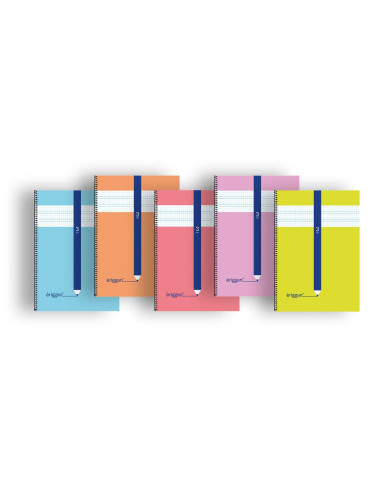 CUADERNO ERIGGAN Fº 80 h. 3 mm. 10 ud.
