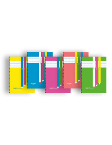 CUADERNO ERIGGAN Fº PP 80 h. 3 mm. 10...