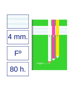 CUADERNO ERIGGAN Fº PP 80... 2