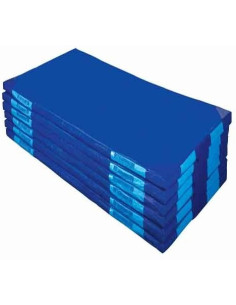 COLCHONETA 200 x 100 x 10...