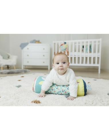 RODILLO DE GATEO MINILAND