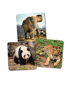 PUZZLES PROGRESIVOS:... 2