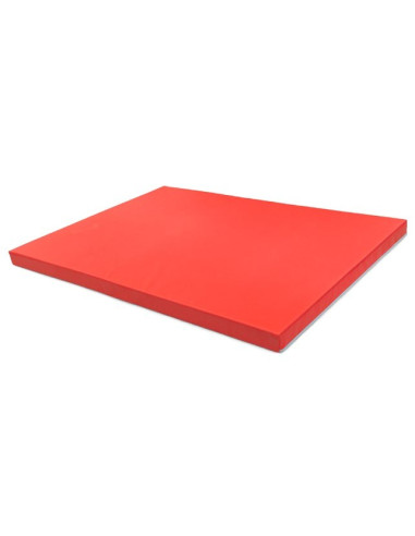 COLCHONETA GIMNASIA 200 x 150 x 10 cm.