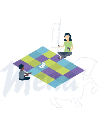 ROBOT SPECIAL EDUCACION KIT