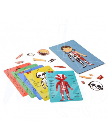 JUEGO MAGNETICO APLI EL CUERPO HUMANO